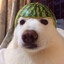 MDFpng