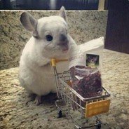 You are my one and only.111