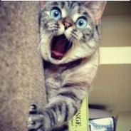 生死看淡不服就干