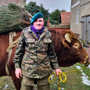 romek zaklinacz byków