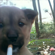 不吃泡面的宅男