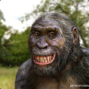 Австролопитэк