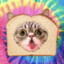 InBreadCat5