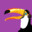 Tropical_Toucan