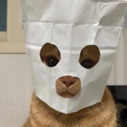 MrSmallCat