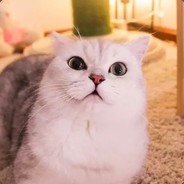 坑蒙拐骗马化腾