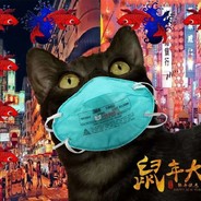 猫白