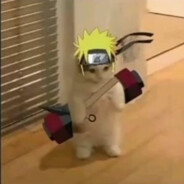 el maldito nicooo