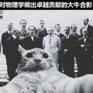 亿万光辉之主犹格泡泡