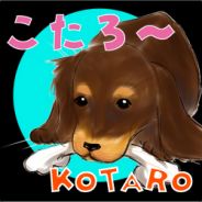 kotabow!