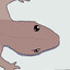 Geckoking