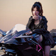 翻斗花园侦察手`