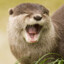 otter