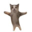 Hapi Cat