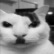 Akvarel avatar