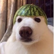 Nick_but_sane