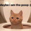 Poop kitten
