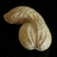 PEANUS