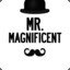 Mr. Magnificent