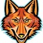 Coyote