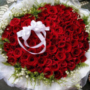 身未动，心已远✨¨̮ ᴴ