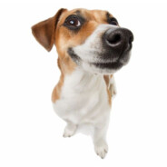 Russell - steam id 76561198119861571