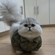 general munchkin man