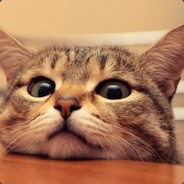 兔子大战喵喵怪