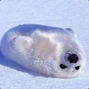 我大专，我来打宿摊