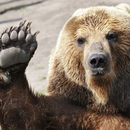 мастер сливов