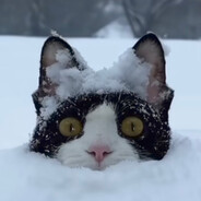 不要给我哇哇叫