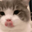 Kiy
