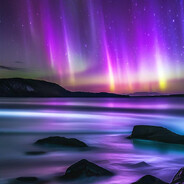 Avatar Tailwind CSS Component