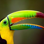 尤里 克拉斯诺达尔