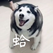 白*🐶