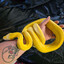 PythonK