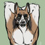 Elliotshep