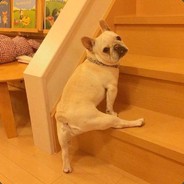 想想下午吃什么