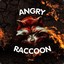 [ANGRY_RACCOON]