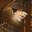 Jagger_z