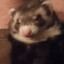 mylo10101010