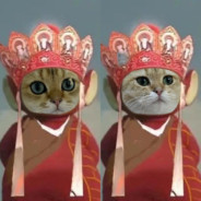 樱花下落的5秒钟