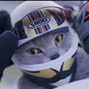 怀抱既然不能逗留