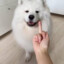 白天