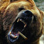 Oso Puestisimo y Violento