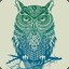 Owl`︻デ ----