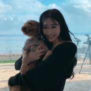 我不吃菜只吃肉