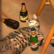 大壮陈某华【坑人版】