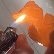 火烧橘子皮_