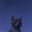 aizzeno